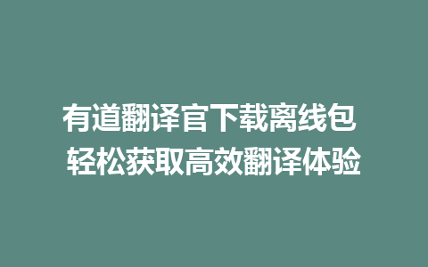 有道翻译官下载离线包 轻松获取高效翻译体验