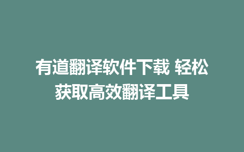 有道翻译软件下载 轻松获取高效翻译工具