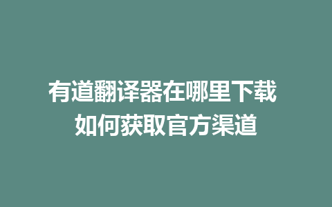 有道翻译器在哪里下载 如何获取官方渠道