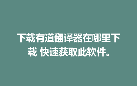 下载有道翻译器在哪里下载 快速获取此软件。