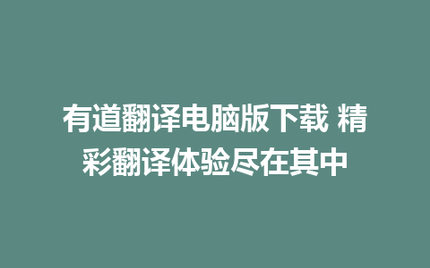 有道翻译电脑版下载 精彩翻译体验尽在其中