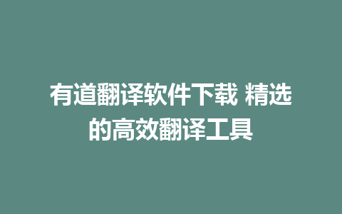 有道翻译软件下载 精选的高效翻译工具