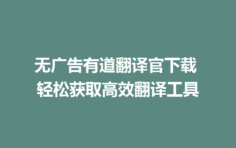 无广告有道翻译官下载 轻松获取高效翻译工具