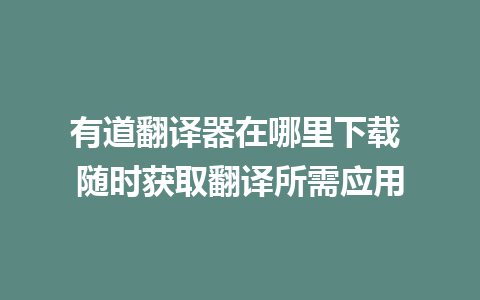 有道翻译器在哪里下载 随时获取翻译所需应用