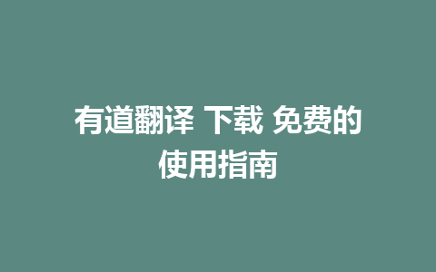 有道翻译 下载 免费的使用指南