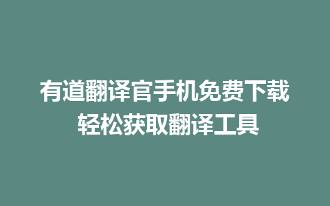 有道翻译官手机免费下载 轻松获取翻译工具