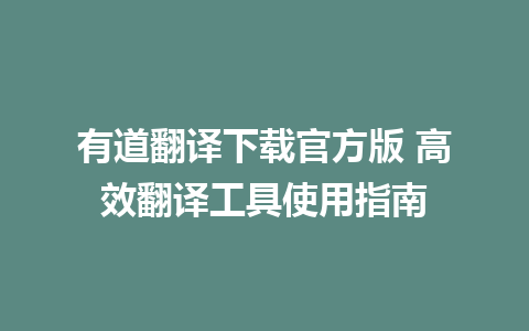 有道翻译下载官方版 高效翻译工具使用指南