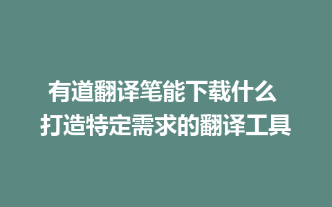 有道翻译笔能下载什么 打造特定需求的翻译工具