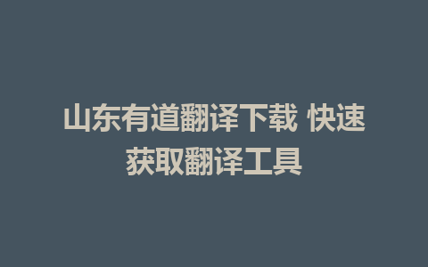 山东有道翻译下载 快速获取翻译工具