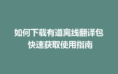 如何下载有道离线翻译包 快速获取使用指南