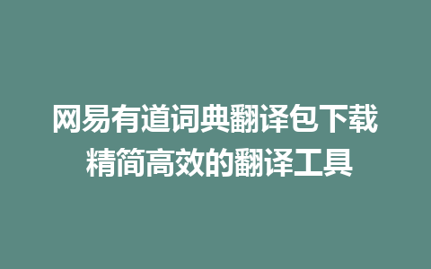 网易有道词典翻译包下载 精简高效的翻译工具