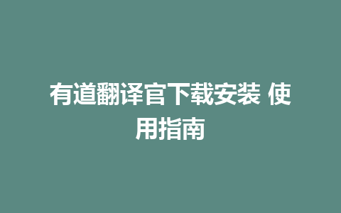 有道翻译官下载安装 使用指南