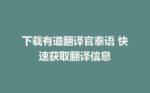 下载有道翻译官泰语 快速获取翻译信息