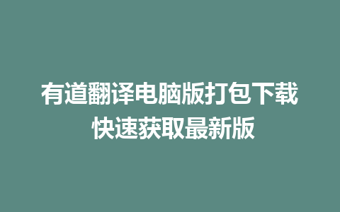 有道翻译电脑版打包下载 快速获取最新版