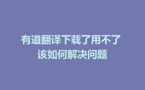 有道翻译下载了用不了 该如何解决问题