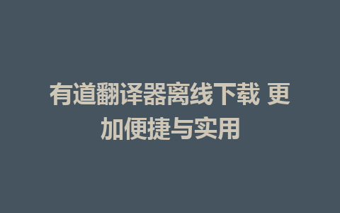 有道翻译器离线下载 更加便捷与实用