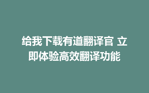 给我下载有道翻译官 立即体验高效翻译功能