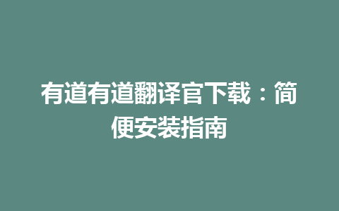 有道有道翻译官下载：简便安装指南