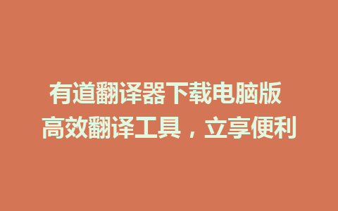 有道翻译器下载电脑版 高效翻译工具，立享便利