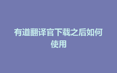 有道翻译官下载之后如何使用